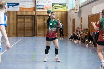 Bild 239 - F HSG Kremperheide/Muensterdorf - ATSV Stockelsdorf 2 : Ergebnis: 47:32